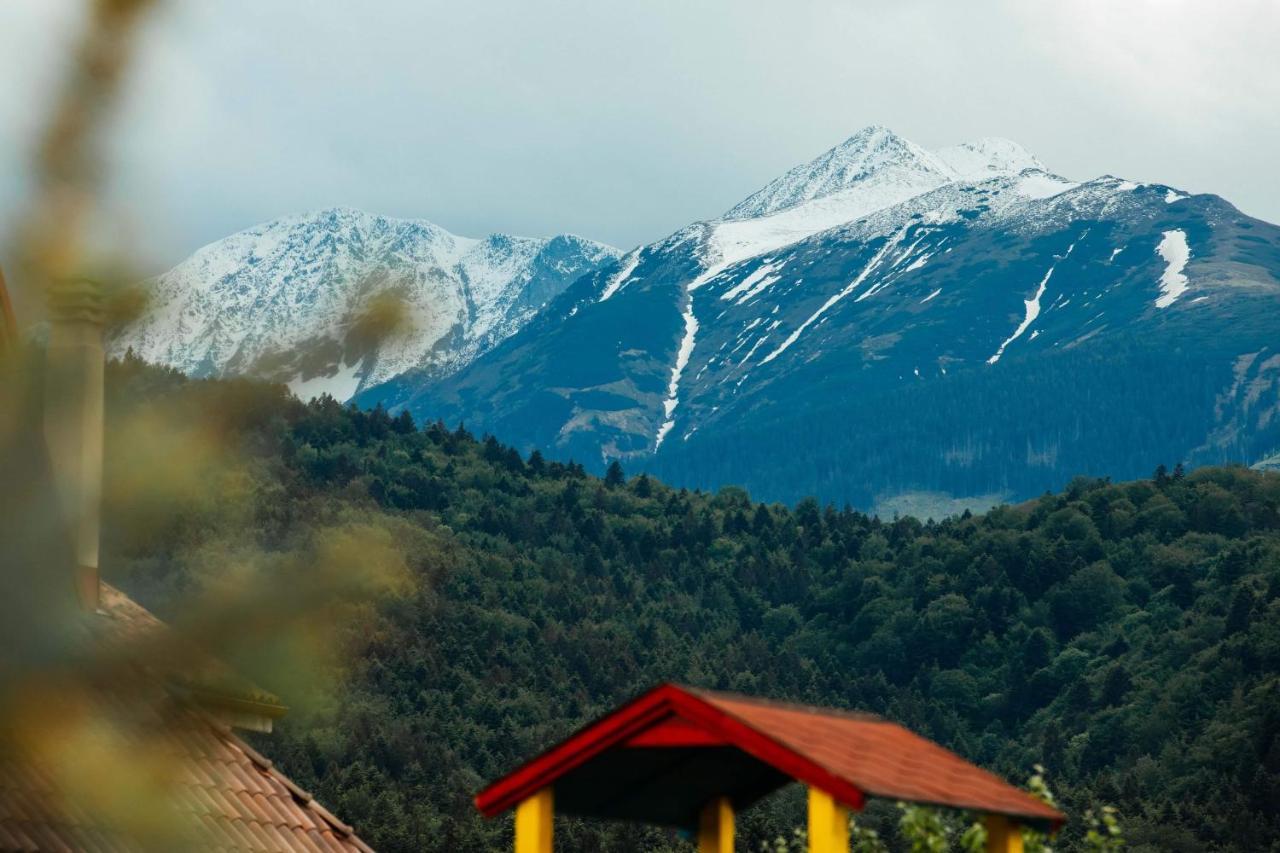 Pensiunea Sophia Statiunea Climaterica Sambata Esterno foto