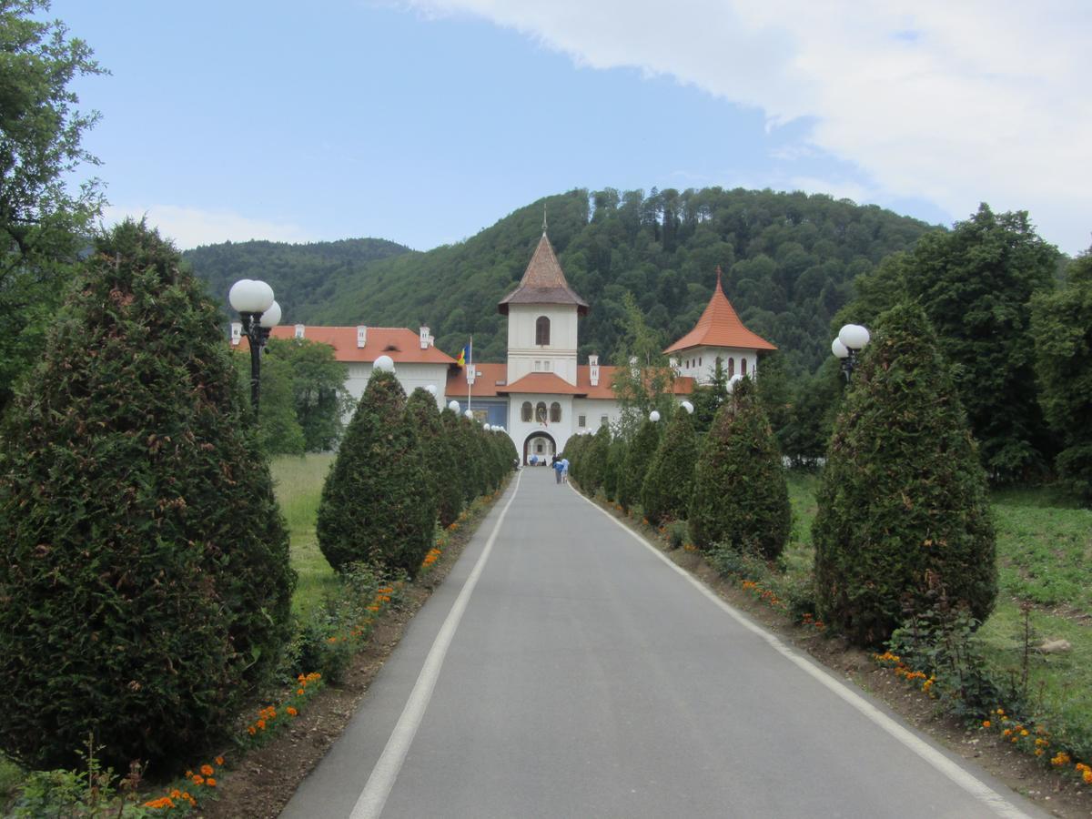 Pensiunea Sophia Statiunea Climaterica Sambata Esterno foto