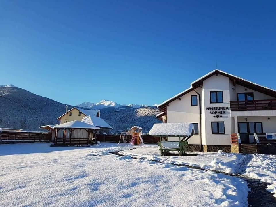 Pensiunea Sophia Statiunea Climaterica Sambata Esterno foto