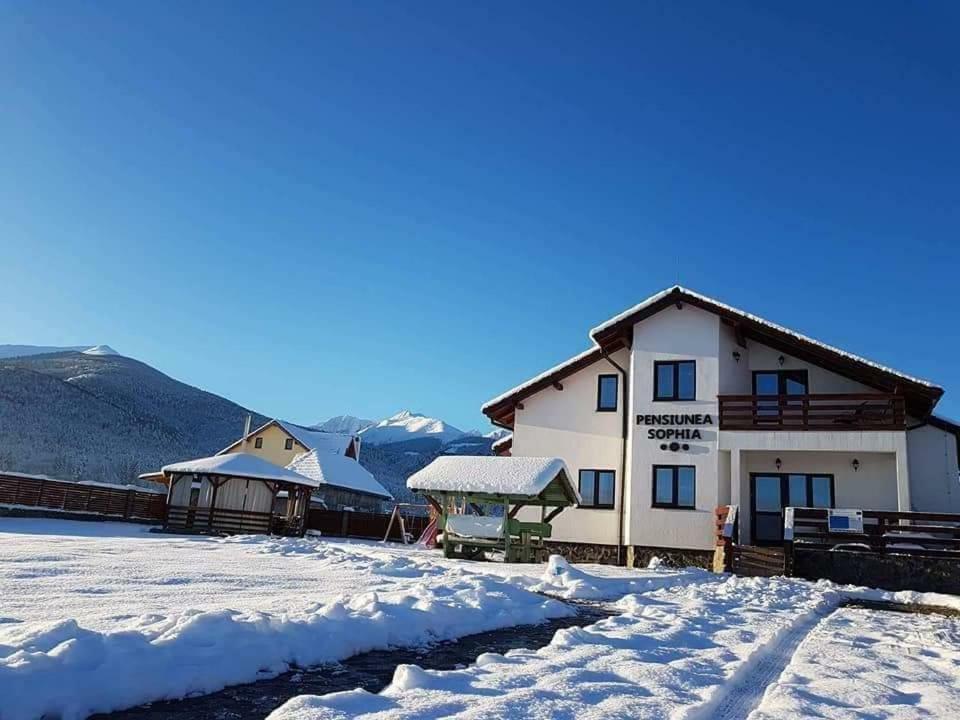 Pensiunea Sophia Statiunea Climaterica Sambata Esterno foto