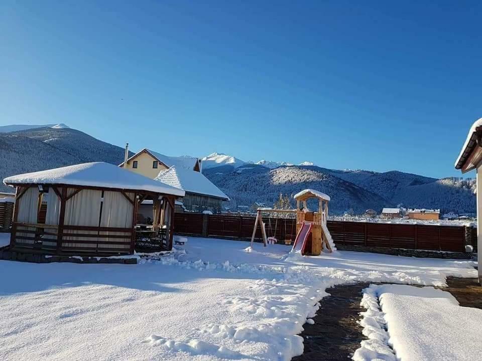 Pensiunea Sophia Statiunea Climaterica Sambata Esterno foto